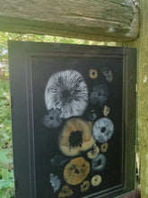 Load image into Gallery viewer, Spore Print #939- Finger Lake, Alaska 2023